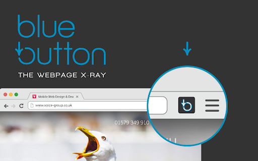 Blue Button | the webpage X-ray screenshot