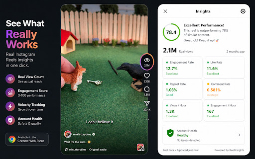 IG Reels Insight: View Performance & Engagement Analytics screenshot