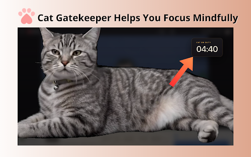 Cat Gatekeeper screenshot