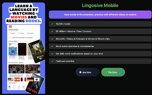 Lingosive: AI Dual Subtitles & Translator — YouTube & Netflix screenshot