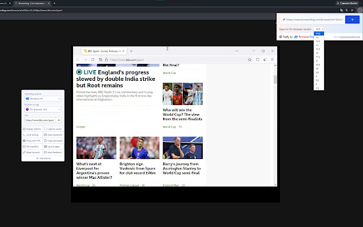 Torify – Anonymous testing screenshot