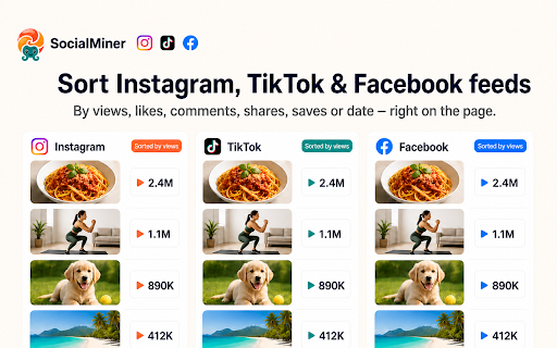 SocialMiner - Sort Feed Sorter & Downloader for Instagram, TikTok, Facebook screenshot