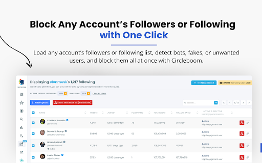 Twitter (X) Mass Blocker screenshot