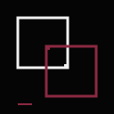 DuoMeet icon
