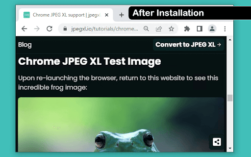 Add JXL support screenshot