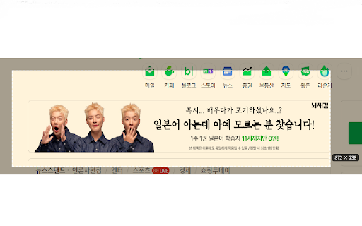RegionShot - 단축키 캡쳐 screenshot