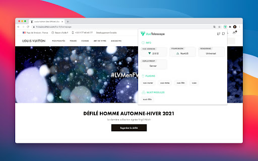 Vue Telescope screenshot