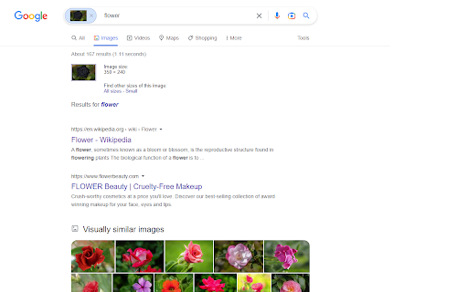 Disable Google Lens screenshot