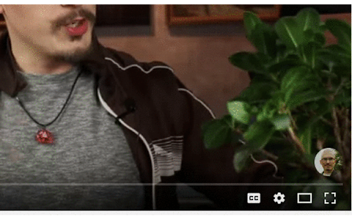 YouTube Ad Auto-skipper screenshot