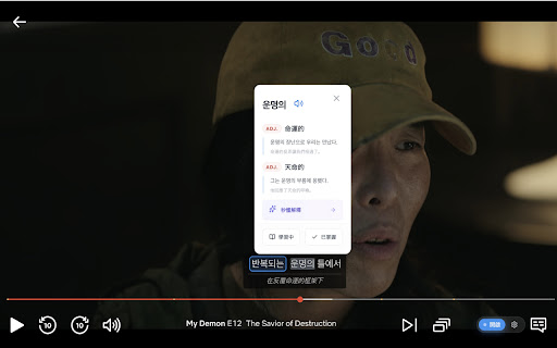 Learn Languages on YouTube & Netflix - zeroStudy screenshot
