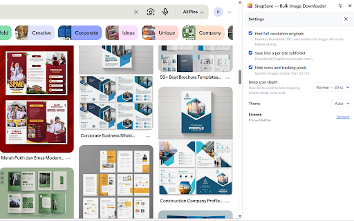 SnapSave — Bulk Image Downloader screenshot