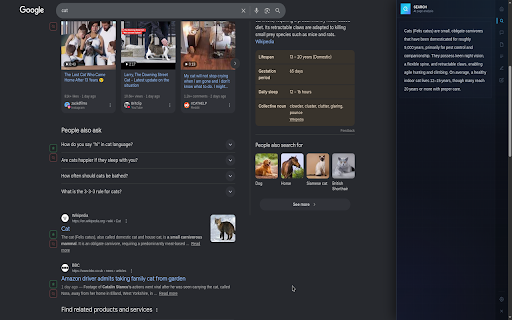 SamAI - Summarize, Chat, Fill Forms screenshot
