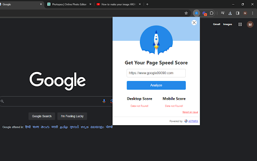 Google Pagespeed Insights screenshot