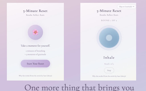 5-Minute Mental Reset screenshot