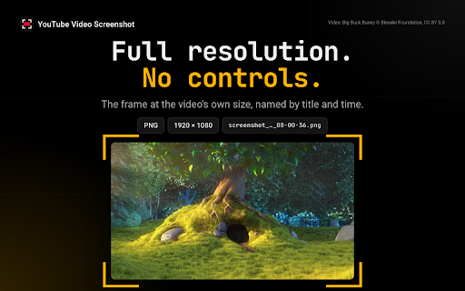 Screenshot YouTube Video Without Controls — Frame to PNG screenshot