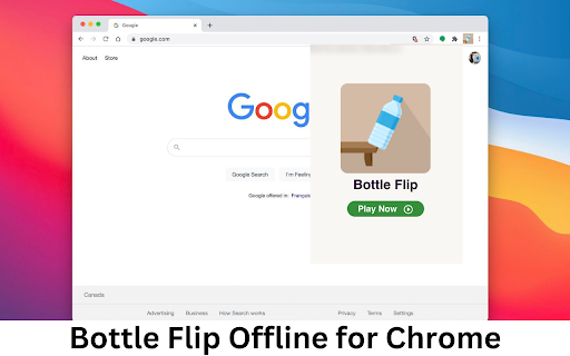 Bottle Flip Offline screenshot