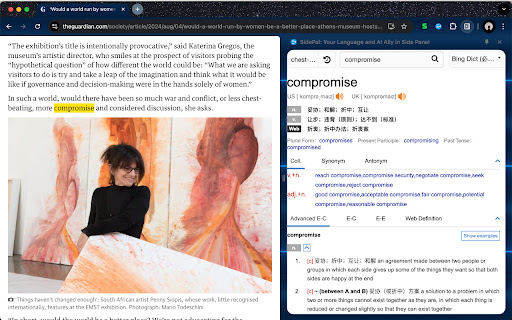 SidePal: Your Language and AI Ally in Side Panel screenshot