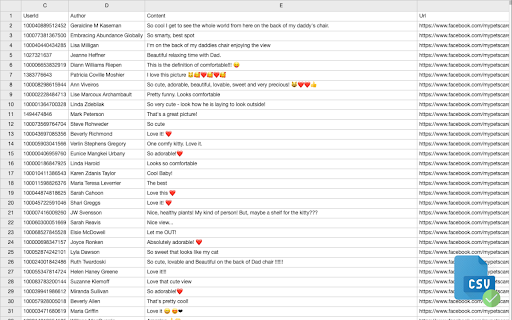 ESUIT | Comments Exporter for Facebook™ screenshot