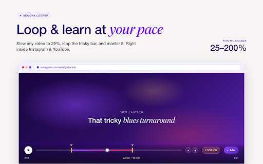 Video Loop & Speed Controller screenshot