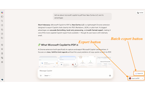 Microsoft Copilot to PDF: Export Microsoft Copilot Chats to PDF, Markdown, screenshot