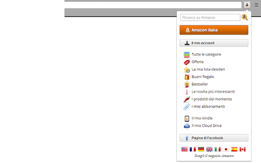 Amazon International Search screenshot