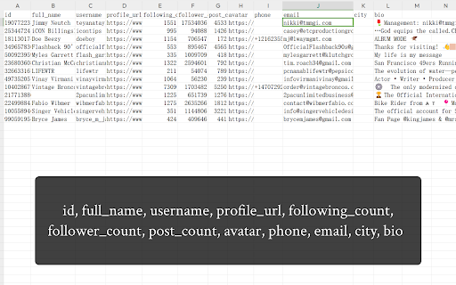 IGEmail - IG Email Extractor screenshot