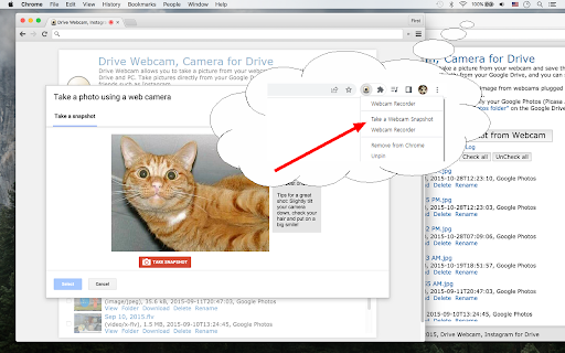 Webcam Recorder screenshot