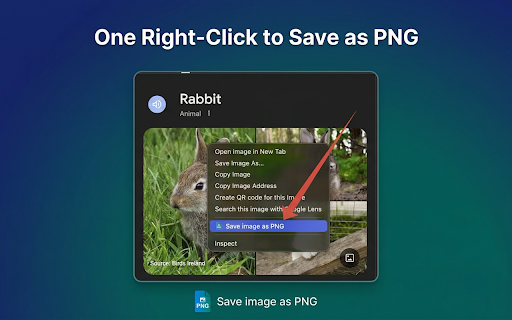 Save image as PNG screenshot