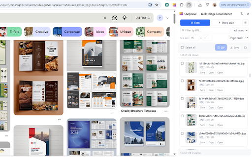 SnapSave — Bulk Image Downloader screenshot