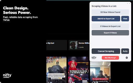 T-FYP Scraper: Export Videos, Comments, Profiles & More screenshot