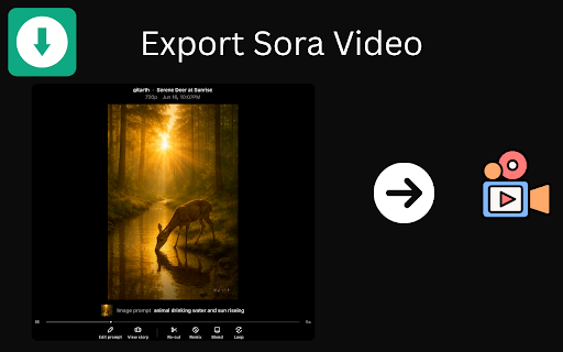 Sora Exporter - Download OpenAI Sora Media and Metadata screenshot
