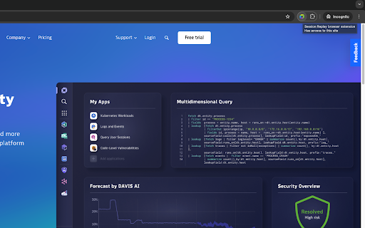 Session Replay browser extension screenshot