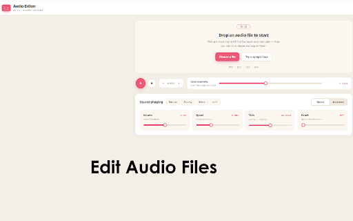 Audio Editor for Google Chrome™ screenshot