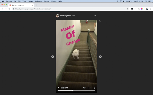 Video Scrubber for Instagram screenshot