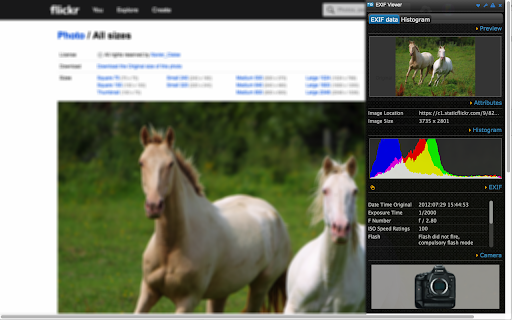 EXIF Viewer Pro screenshot