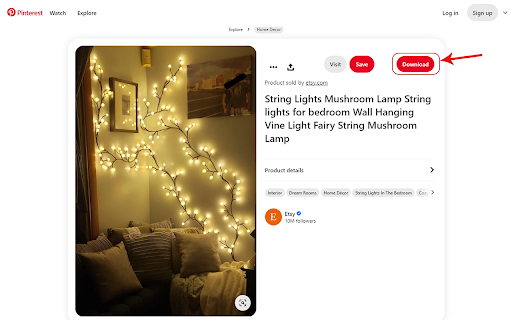 Pinterest Video Downloader - Download HD Videos, GIFs & Images | PinSnap screenshot