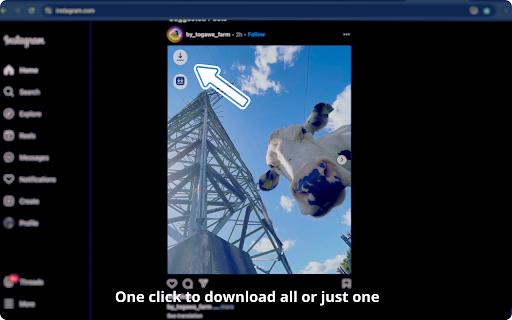 Story Saver screenshot