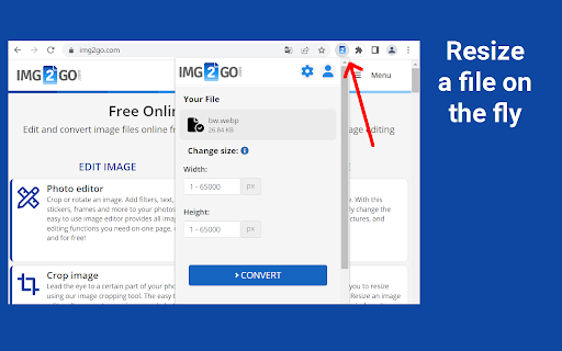 Online Image Editor (img2go.com) screenshot