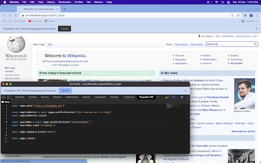 Puppeteer IDE screenshot