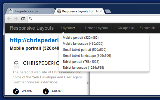 Web Developer screenshot