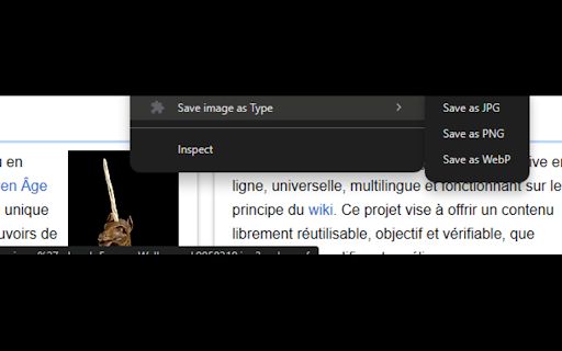 Save image as Type screenshot