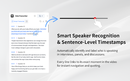 YouTube Transcript & Summary Generator with ChatGPT & Gemini screenshot