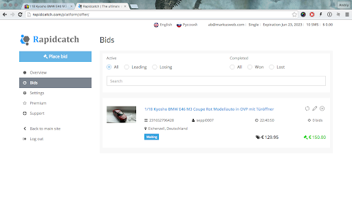 Rapidcatch eBay auction sniper screenshot