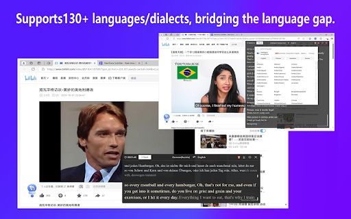 MossVox Subtitle Plugin screenshot