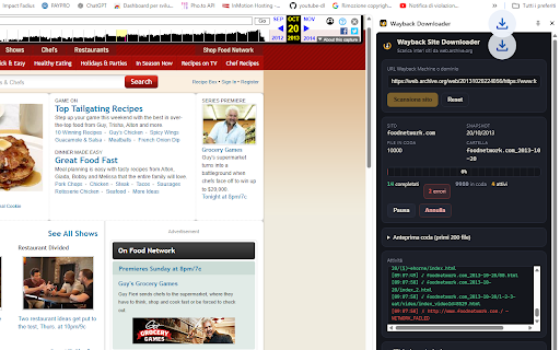 Wayback Site Downloader screenshot