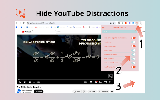 UnHook YouTube screenshot