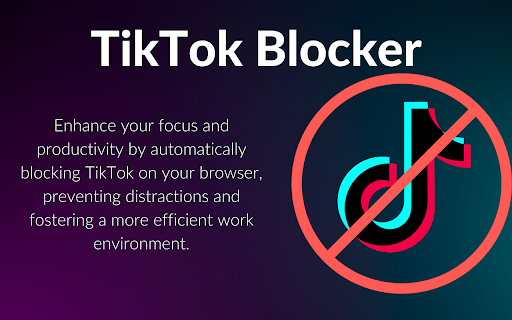 TikTok Blocker screenshot
