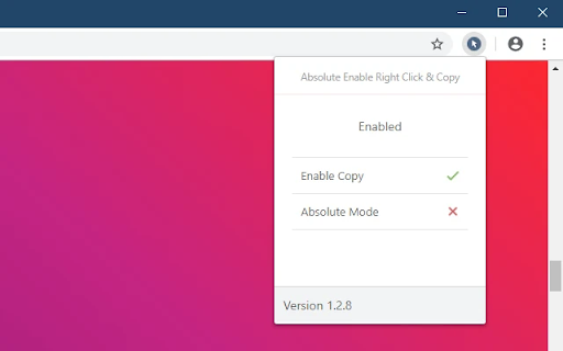 Right Click & Copy Enabler screenshot