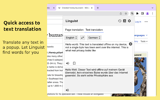 Linguist - web page translator screenshot
