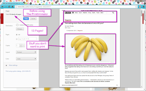 The Printliminator screenshot